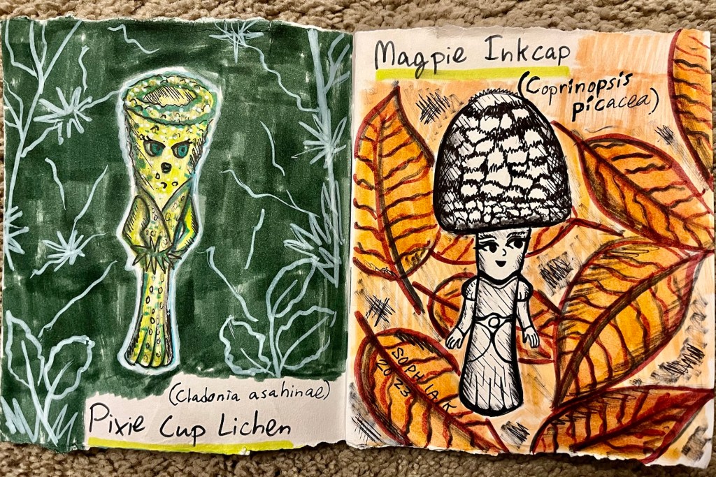 mushroom people inspired by pixie cup lichen and magpie inkcap