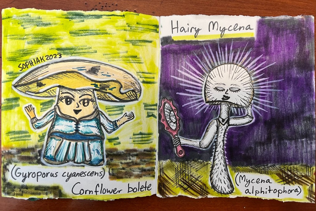 mushroom people inspires by Cornflower Bolete and Hairy Mycena