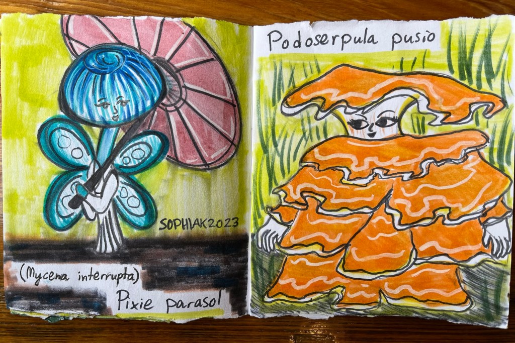 mushroom people inspired by Pixie Parasol and Podoserpula Pusio