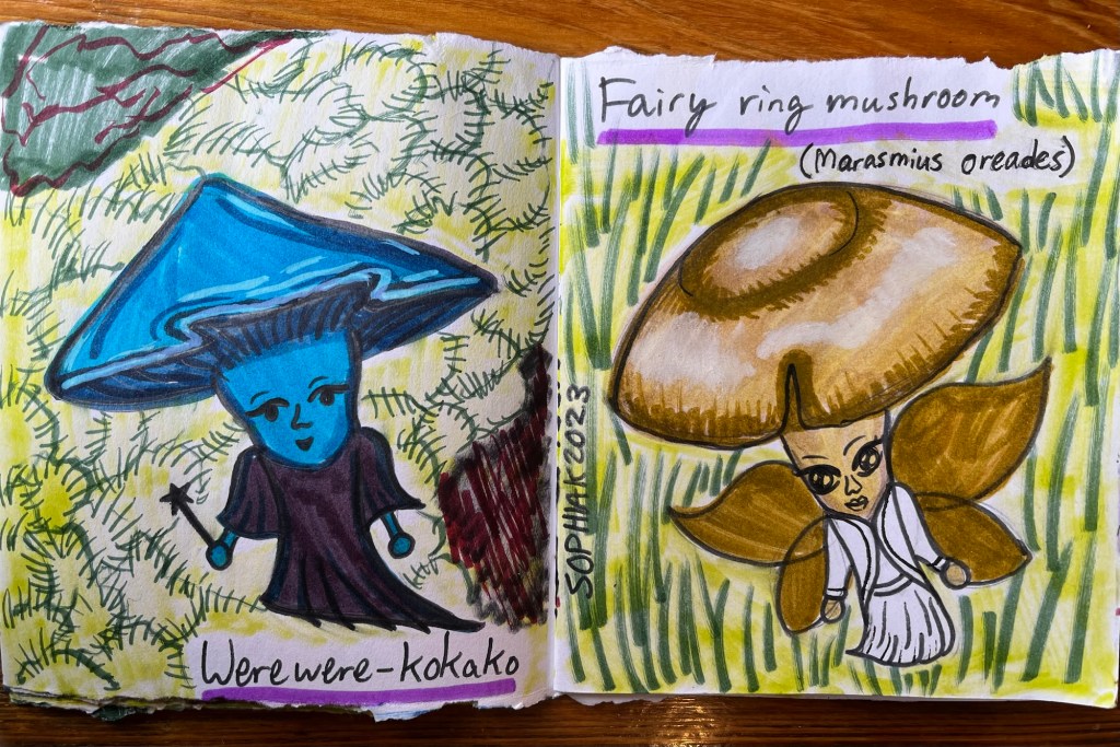 mushroom people inspired by Werewere-kokako and Fairy Ring Mushroom