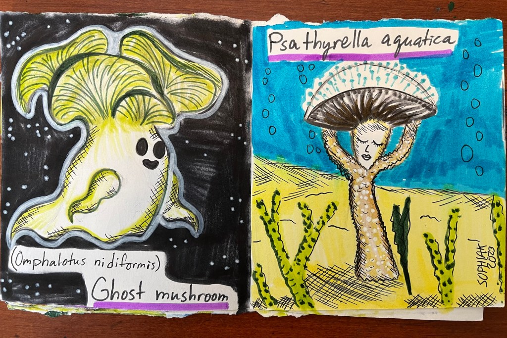 mushroom people inspired by Ghost Mushroom and Psathyrella aquatica