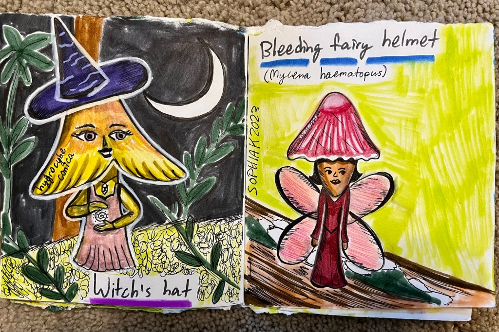 mushroom people inspired by Witch’s hat and Bleeding fairy helmet