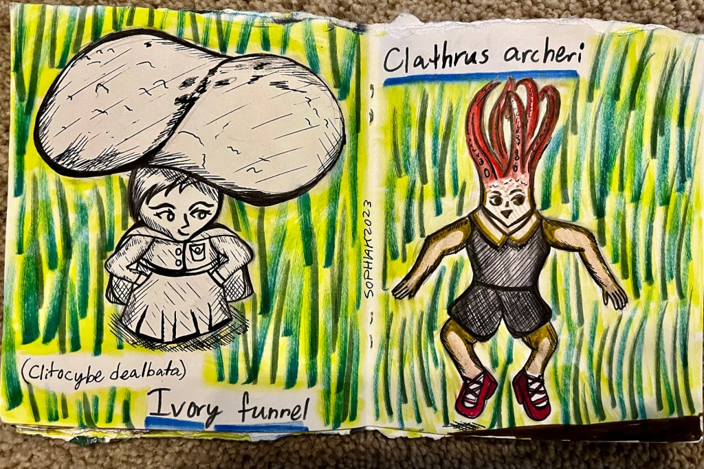 mushroom people inspired by Ivory funnel and Clathrus archeri