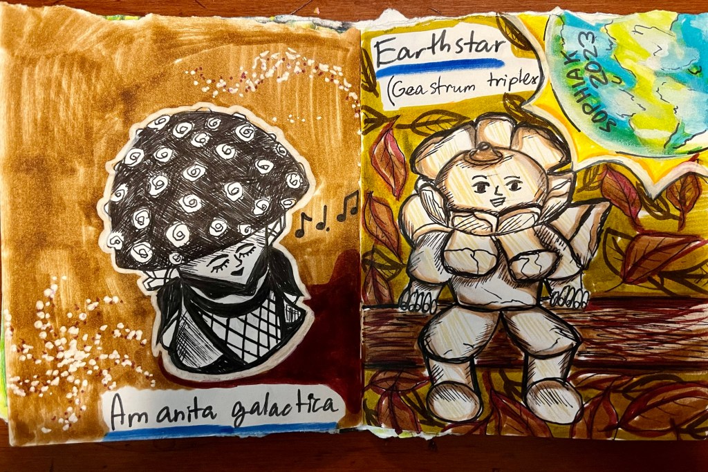 mushroom people inspired by Amanita galactica and Earthstar