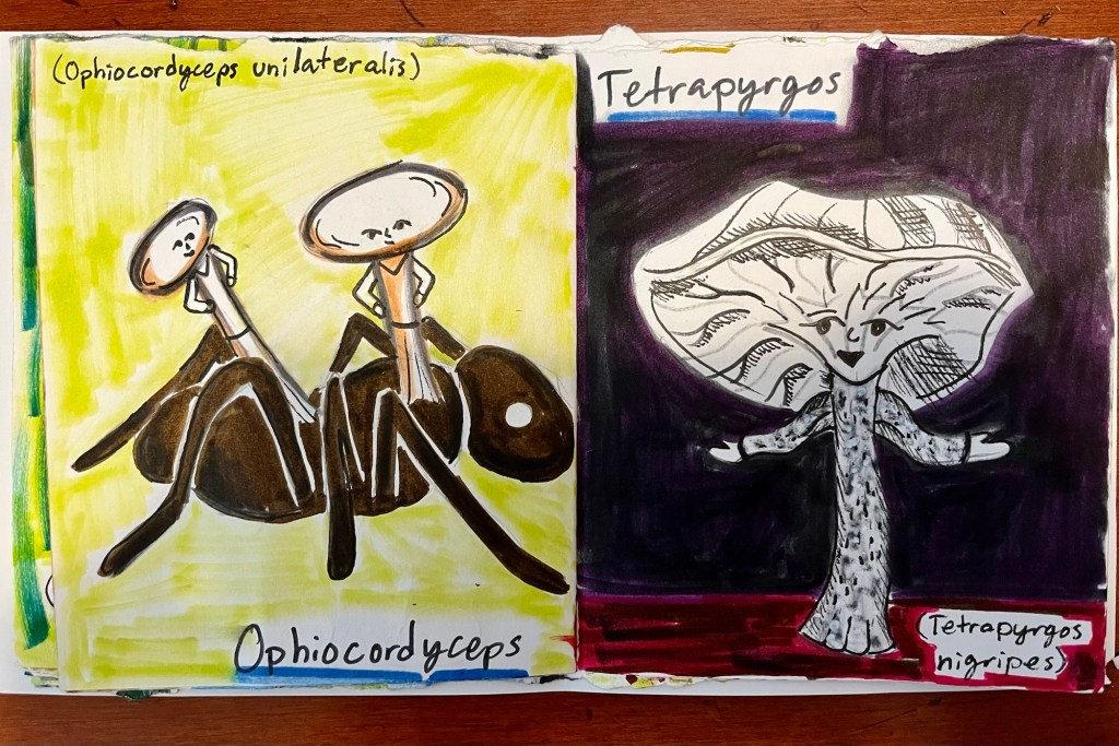 mushroom people inspired by Cordyceps unilateralis and Tetrapyrgos
