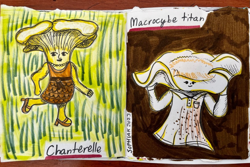 mushroom people inspired by Chanterelle and Macrocybe titan