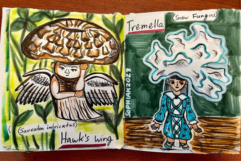 mushroom people inspired by Hawk’s wing and Tremella