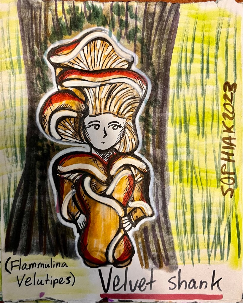 mushroom person inspired by velvet shank