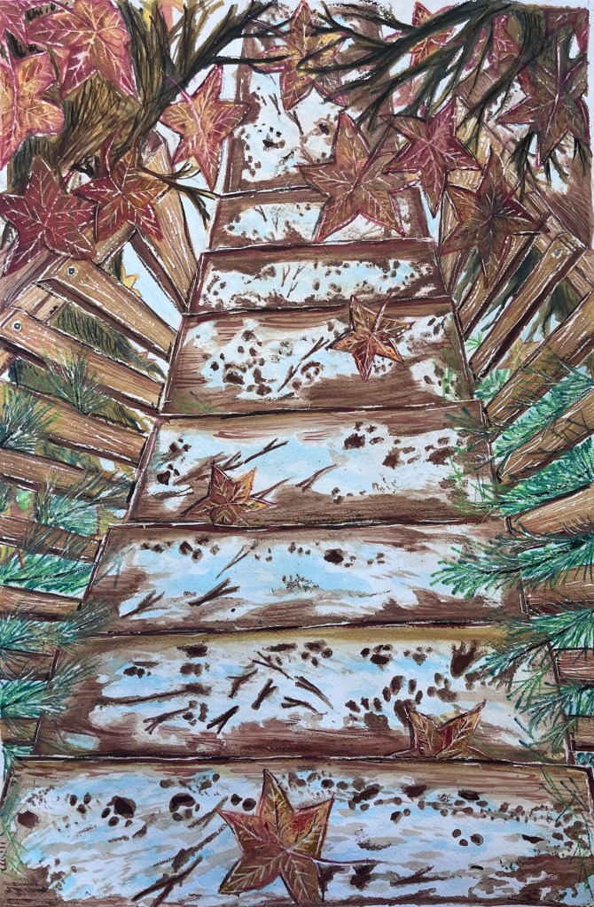 several steps lead downwards, they are surrounded in evergreen trees, they are covered in leaves, snow, and animal footprints