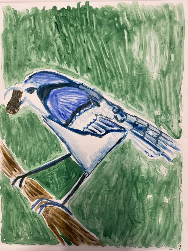 a watercolor print of a bluejay with a peanut in its beak